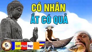 Đêm Khuya Khó Ngủ Nghe Những Câu Chuyện Nhân Quả Rất Hay Giúp Tâm An Ngủ Ngon Giấc