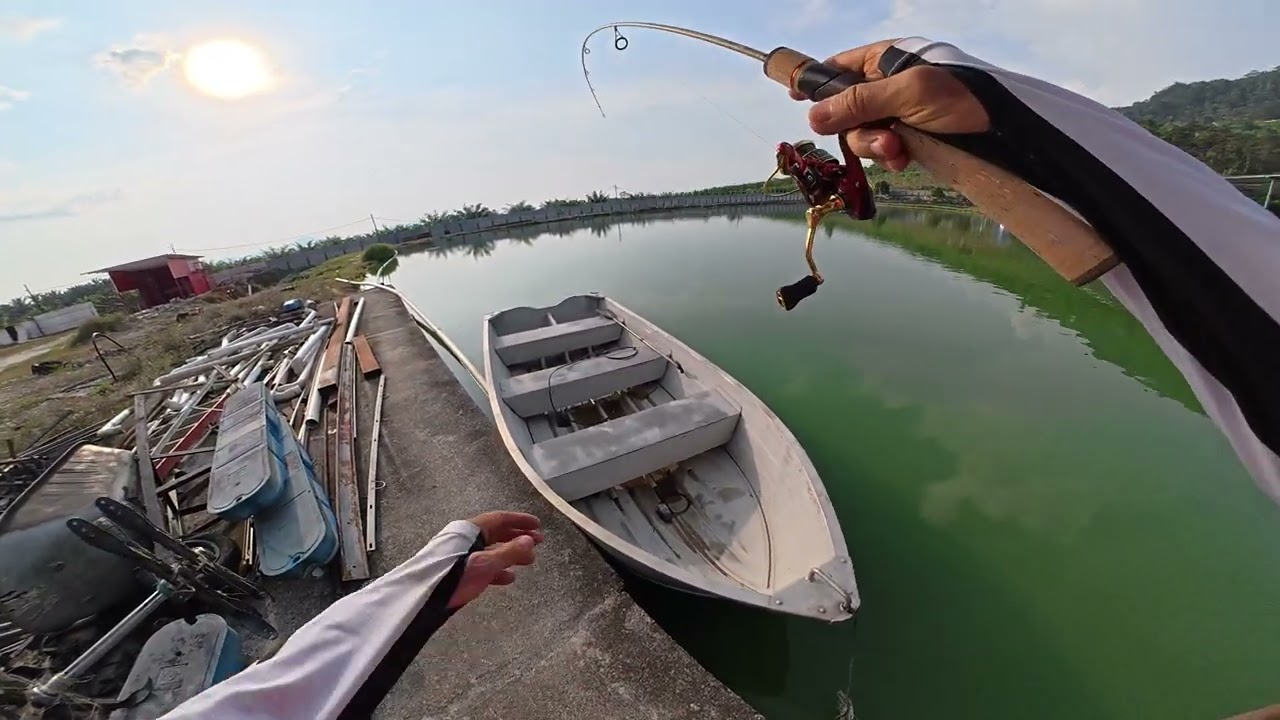 Rapala Fippy spin and Rage R500UL put to the test!!! Full fight unedited....