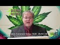 Cannabis Common Sense 1028