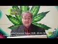 Cannabis Common Sense 1028