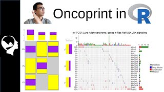 Oncoprint Walkthrough (Essential)