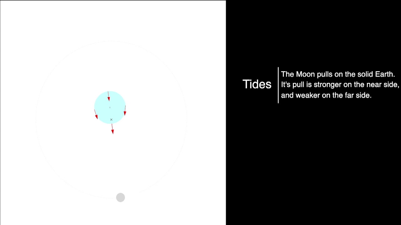 Tides animation - YouTube