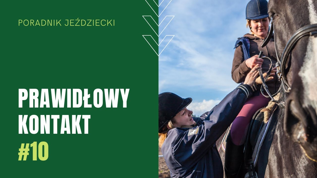 PRAWIDŁOWY KONTAKT | Poradnik jeździecki #10