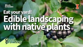 Design principles and plants for edible landscapes | #GoodGrowing