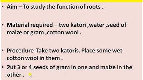 Class 6 th , Science, chapter 7 , getting to know plants ,L 3