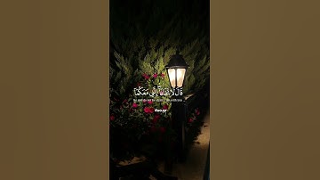 اكتب شيء تؤجر عليه”🌿#ذكر_الله_حياة_للقلوب  #قران_كريم #قرآن #تلاوات_خاشعة #تلاوات #اسلام_صبحي
