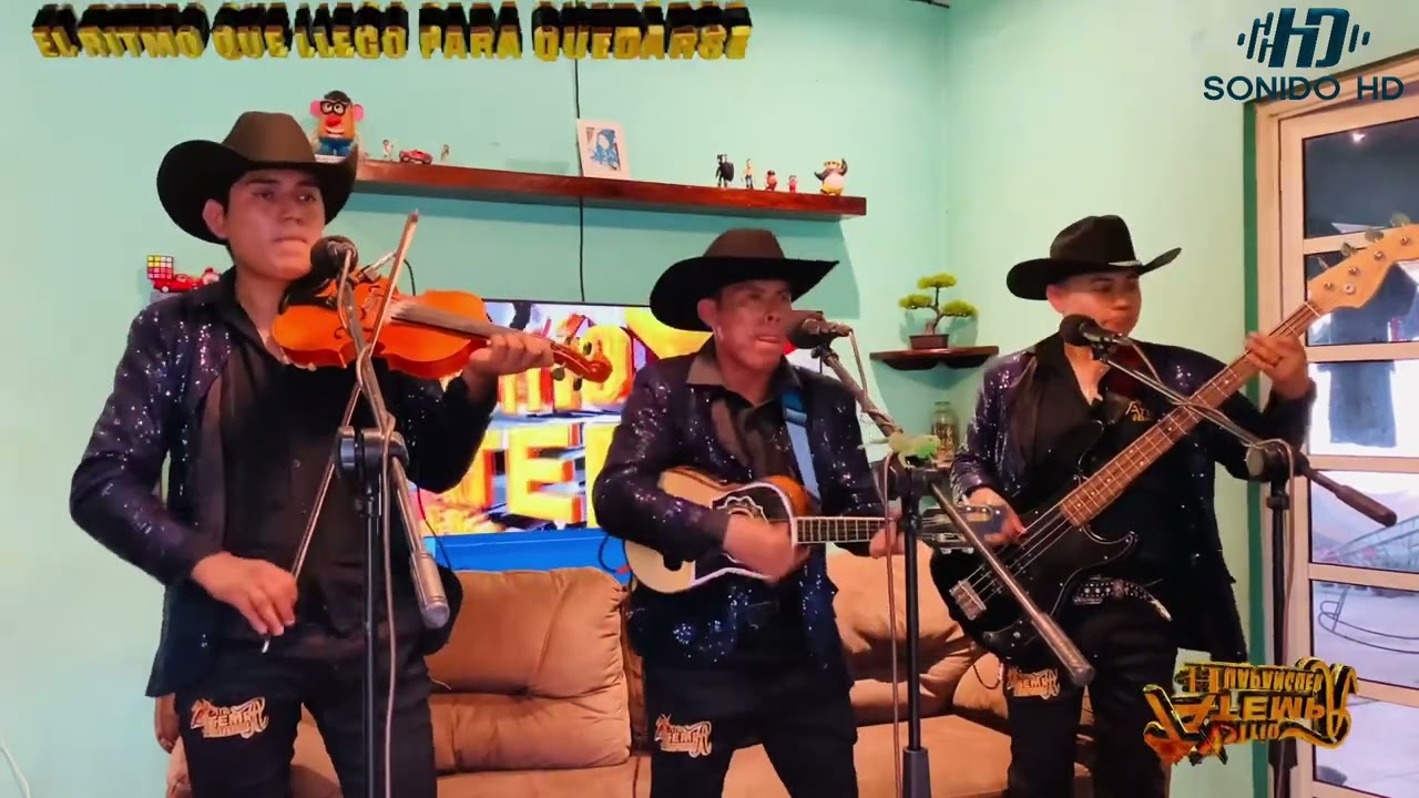 🐴El burrito loco y la iguana🦎 // Trío Atempa Huapanguera