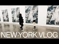 New York Vlog - おひさしぶりのニューヨーク