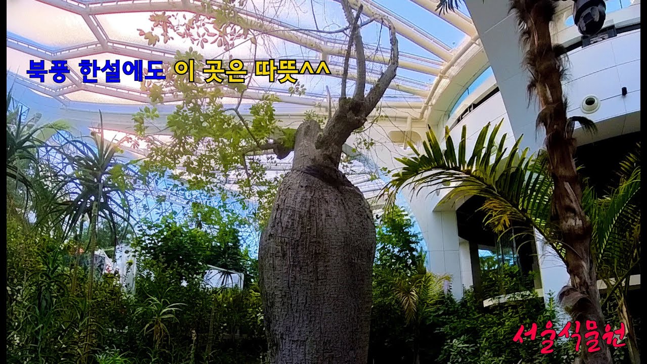 영하의 기온에 꼭 가봐야 하는 곳^^