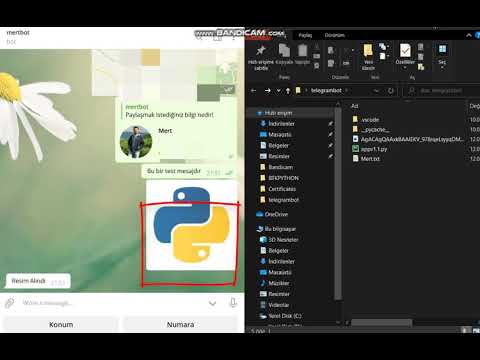 Telegram Bot with Python