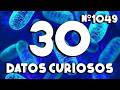 30 DATOS CURIOSOS y COSAS QUE NO SABÍAS ⏰😲 1049 #curiomaníatv