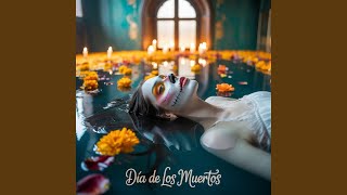 La Niña Que Fui - VIBRA