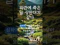 82-9. 곽란에 죽은 말 상판대기 같다. #속담 #명언 #인생조언 #좋은말