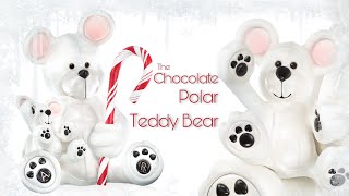 Chocolate Polar Teddy Bear!
