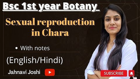 Chara: Sexual reproduction (Notes) Bsc 1st year Botany