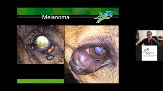 Eyelid and Orbital Disease | Veterinary Ophthalmology screenshot 1