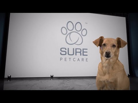 Vídeo: Monitores de Atividade-Saúde para Cães