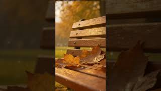 Soft Piano Relaxation #quiettime #calmnessinmotion #music #piano #pianomusic #innerpeacemusic #calm