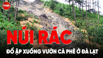Hàng chục tấn rác trên đồi đổ ập xuống, vùi lấp vườn cà phê ở Đà Lạt | PLCS