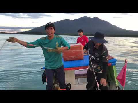 Pukat Hanyut Memburu Tenggiri