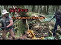 encontrei o baú do tesouro da caveira do pantano @família vemtura detectororismo