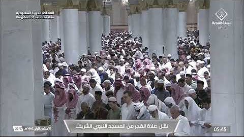 صلاة الفجر للشيخ عبدالله القرافي من المسجد النبوي 10 جمادى الأولى 1446 سورة الواقعة كاملة
