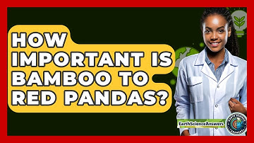 How Important Is Bamboo To Red Pandas? - Earth Science Answers