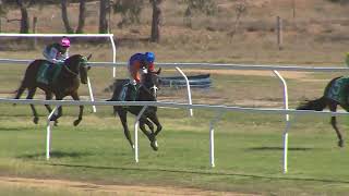 Deniliquin 25 04 2026 Race 2
