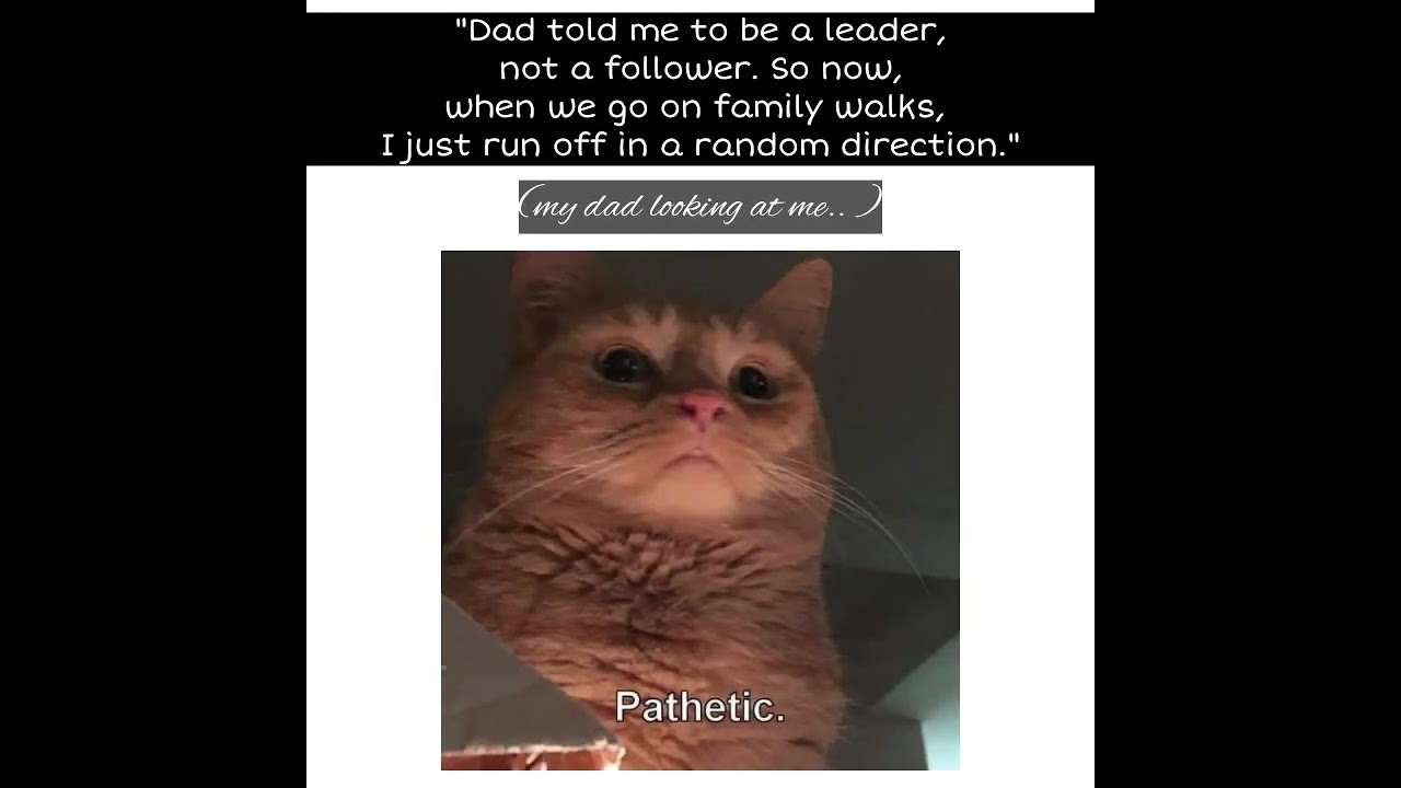 Well, I listened to you 