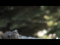 History Is Waiting - Laura Woodley Osman (Story of All Stories Official Lyric Video)