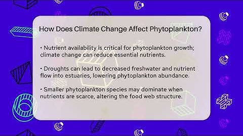 How Does Climate Change Affect Phytoplankton? - Ecosystem Essentials