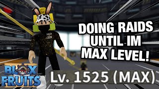 DOING LAW RAID UNTIL MAX LVL IN BLOX FRUITS!