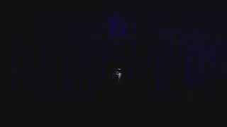 ‘The Moth’ by PJ Harvey - Amardeep Riyat