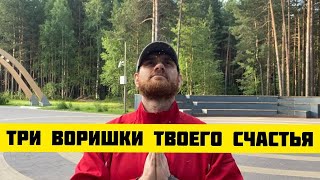 Три ВОРИШКИ нашего СЧАСТЬЯ ☝️