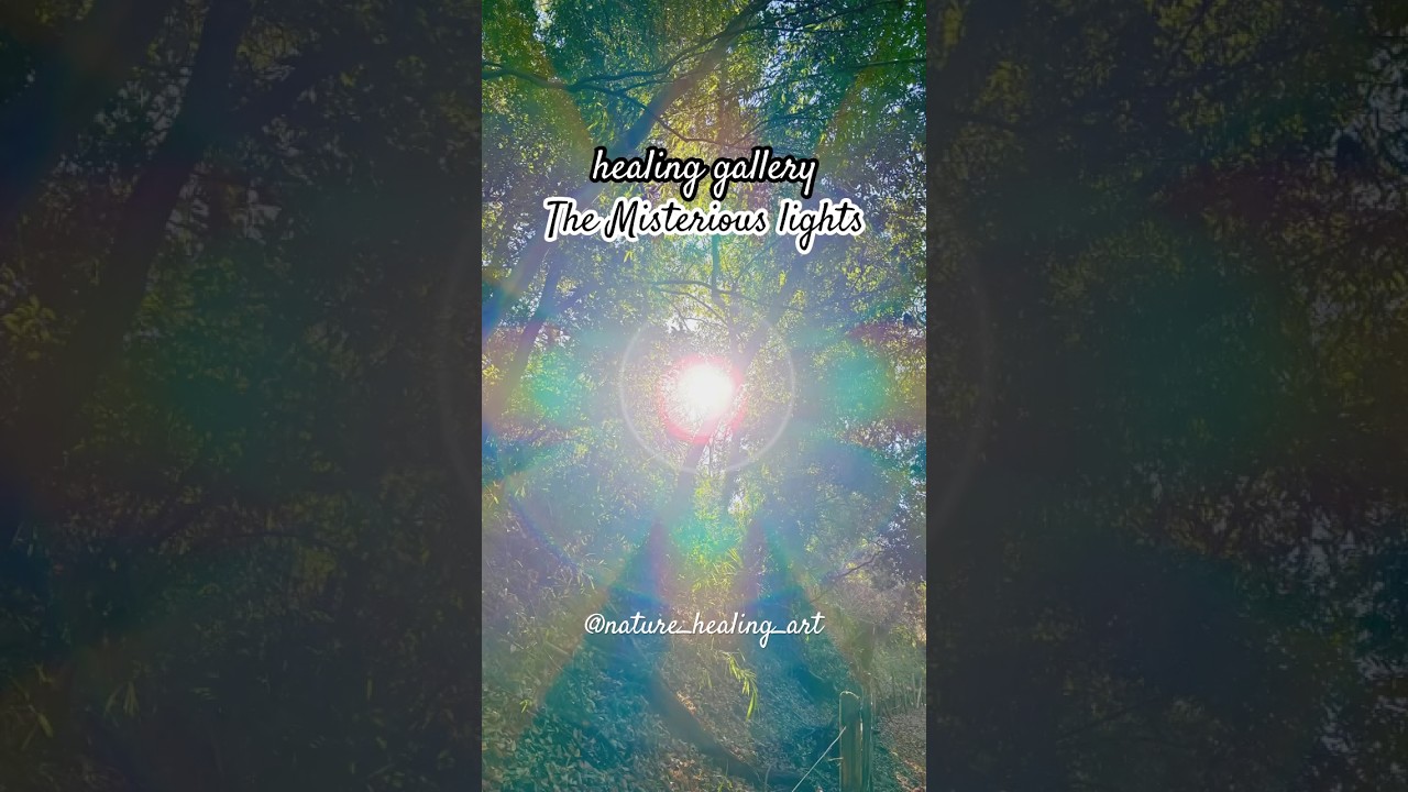 healing gallery🌟不思議な光The Mysterious light