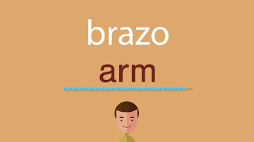 ¿Cómo llamamos brazo en inglés?