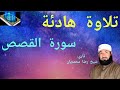 تلاوة هادئة سورة القصص قرآن ألكريم قاري شيخ رضا محمديان Qari Sheikh Reza Mohammadian 