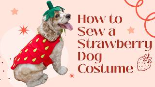 Sew a Strawberry Dog Costume - Any Dog - Free Custom Pattern