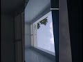 Automatic Rooftop on Swimming pool #theeliteautomaticdoors #ytshorts