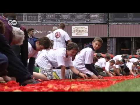 Video: What Is "Brussels Flower Carpet"