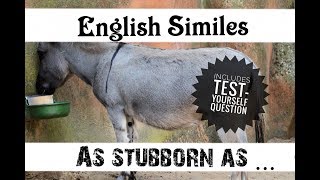 English Similes - As stubborn as ...