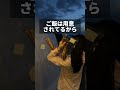 【夏限定】手ぶらで行けるグランピングがヤバかった