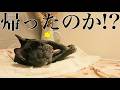 夫が1週間も帰って来てません…