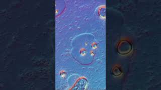 Мороженое под микроскопом 🔬#microworld #подмикроскопом