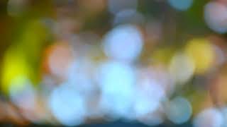The Universe Of Pictures, Part 2, With Motion (Fragments, Part 2 330)