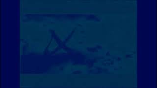 Xilam 1999 Center Effects Squared