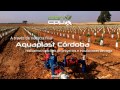 Sistemas de riego plantaciones de olivar y almendro superintensivos  wwwcbhes