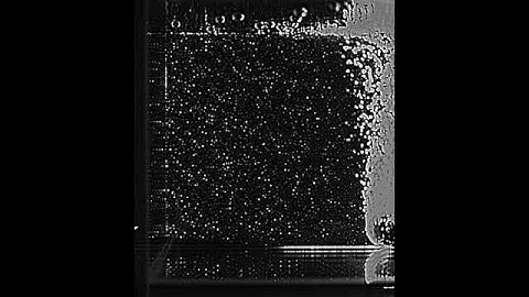 Bubbly flow simulation