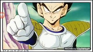 Vegeta vs Turles