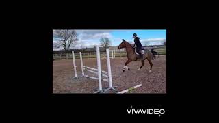 Ad ref 273779   Video 2